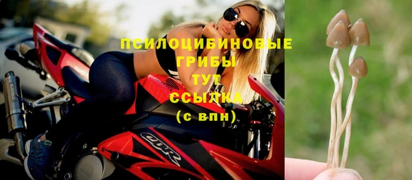 мдпв Коряжма