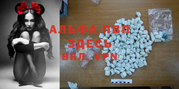 мдпв Коряжма