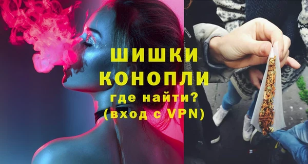 PSILOCYBIN Козельск