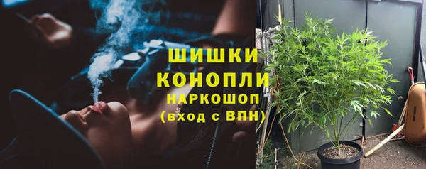 мдпв Коряжма