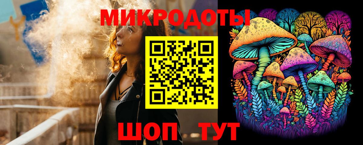 Галлюциногенные грибы Psilocybine cubensis  Северодвинск 