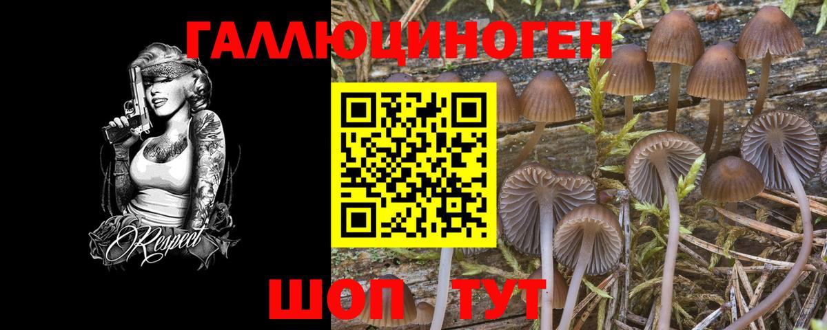Псилоцибиновые грибы Magic Shrooms  Вход с VPN  Северодвинск 